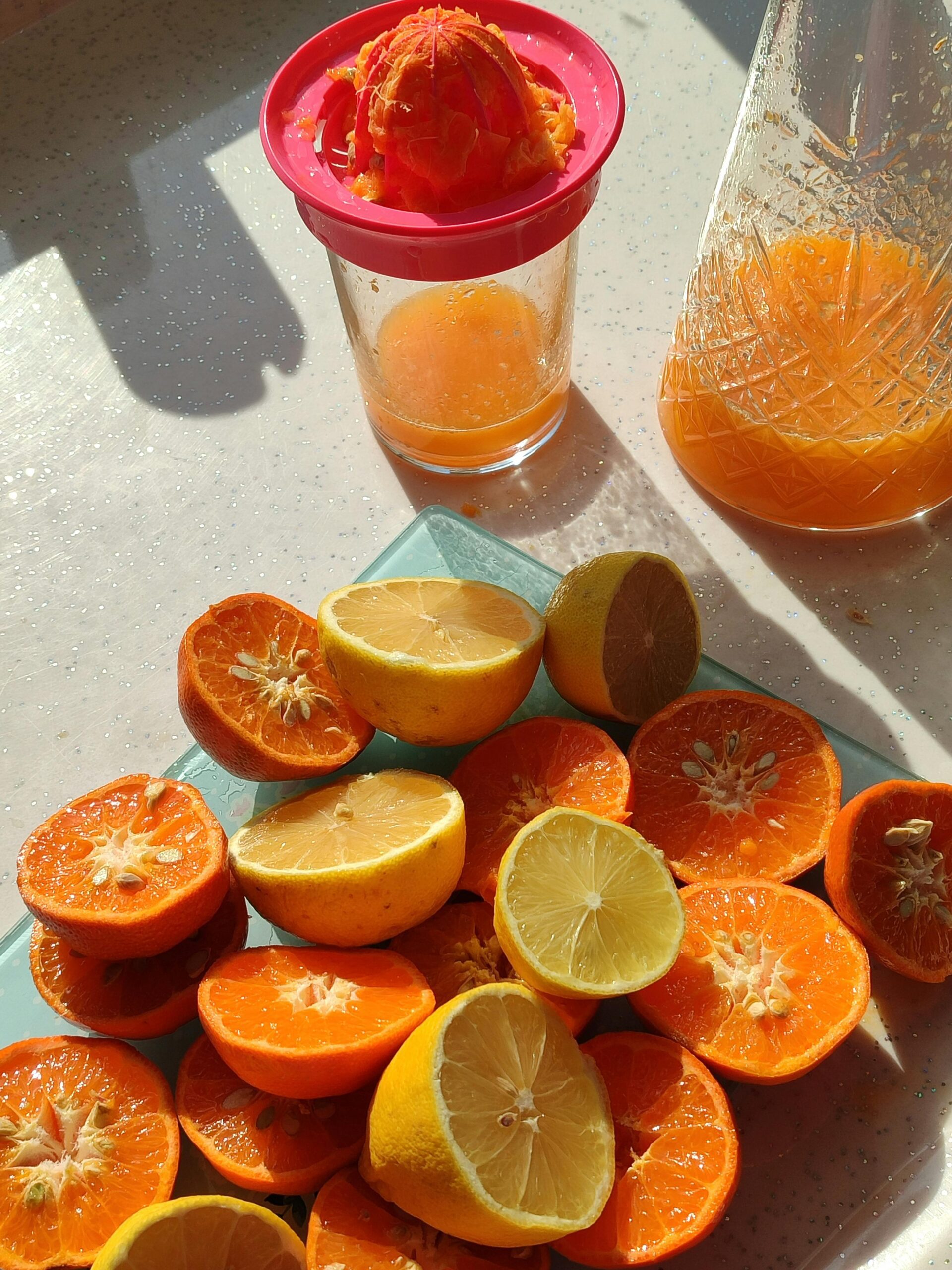 Freshly cut oranges and lemons on a board with a manual juicer and glass of fresh juice.
